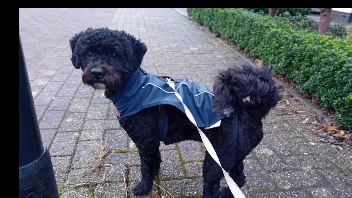 Milo