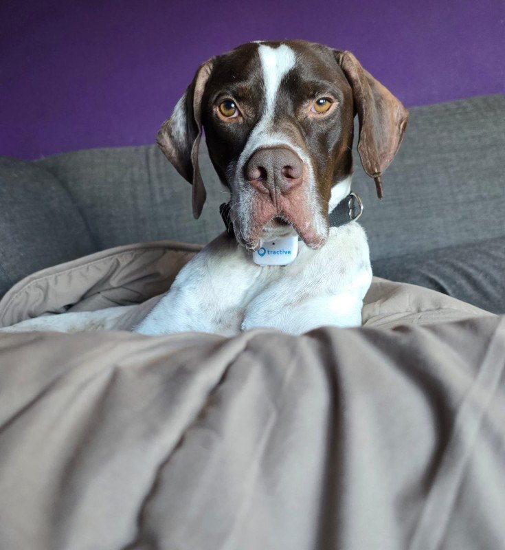 Oscar