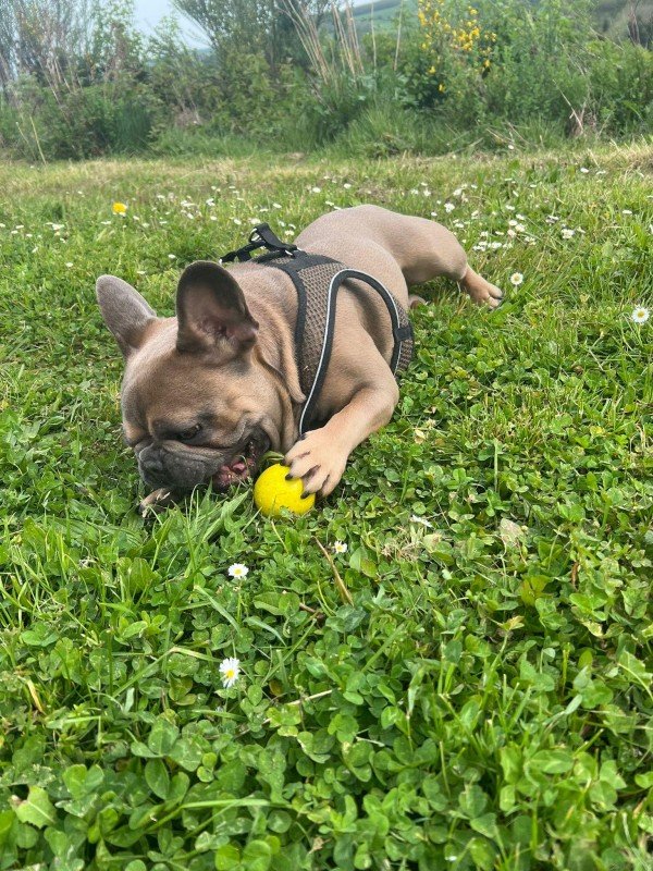 Spike