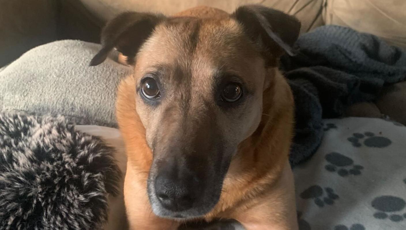 Maddy