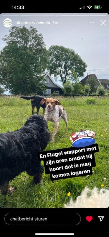 Flugel