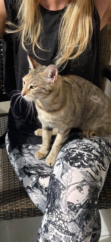 Gina