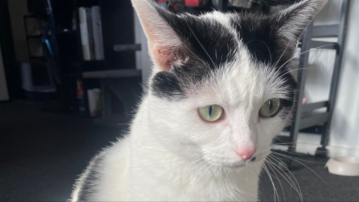 Mimie