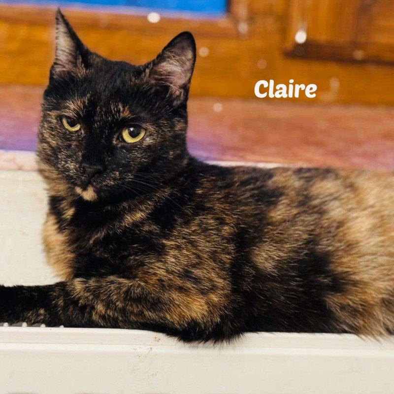 Claire