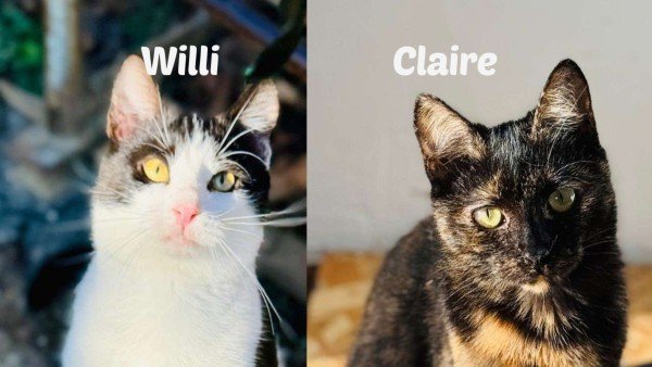 Claire