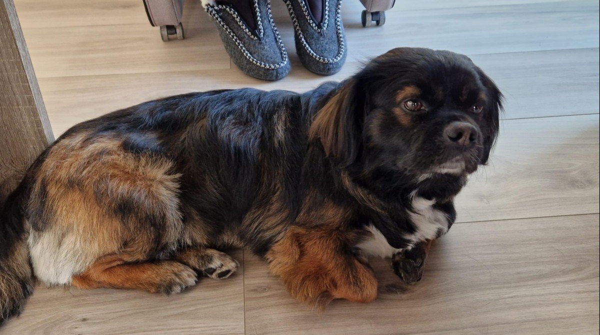 Sammy