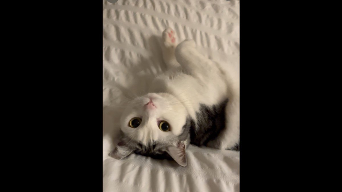 Mia