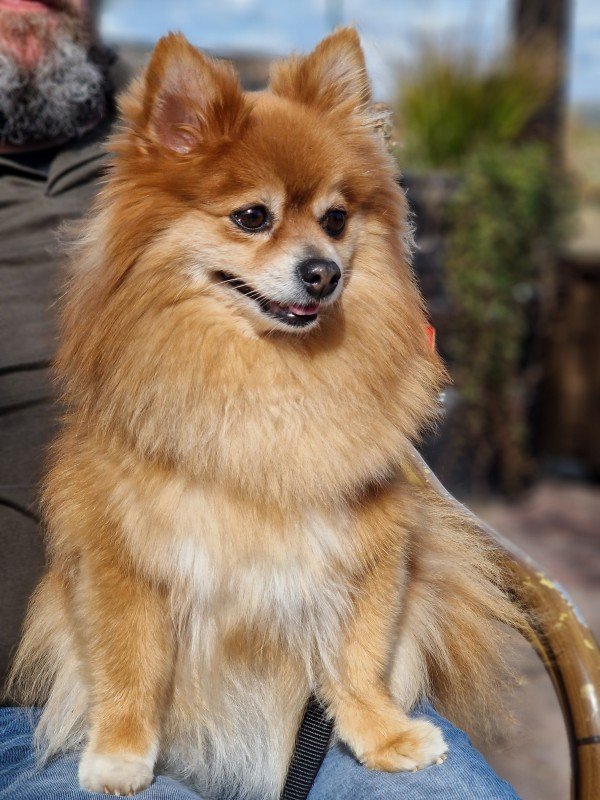 Bailey