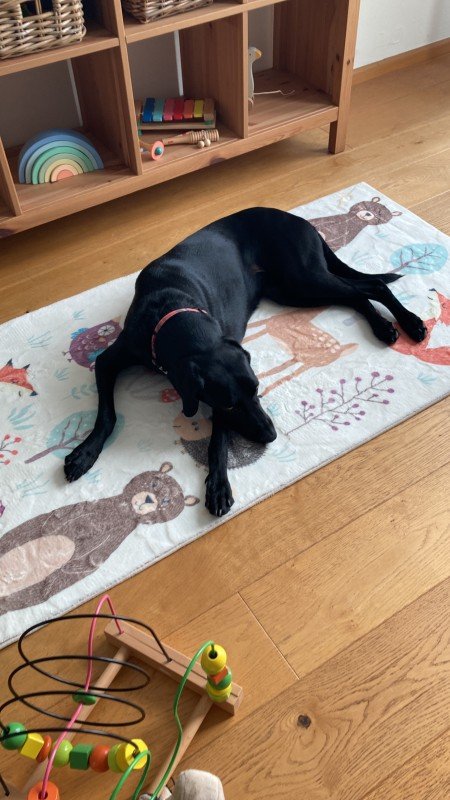 Floortje