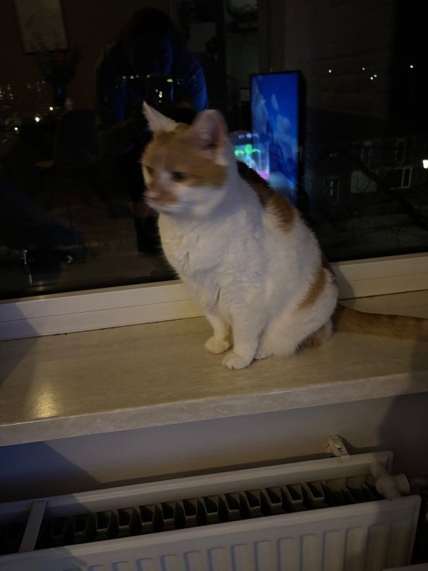 *SPOED* Guusje