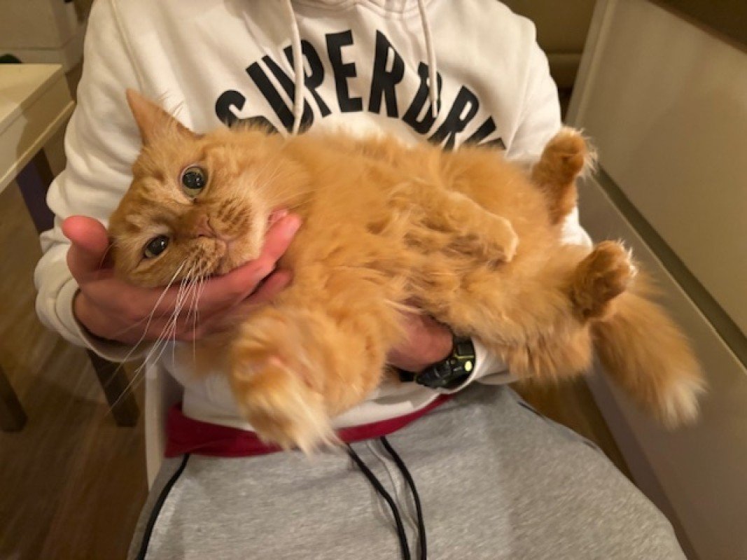 Bliebskie