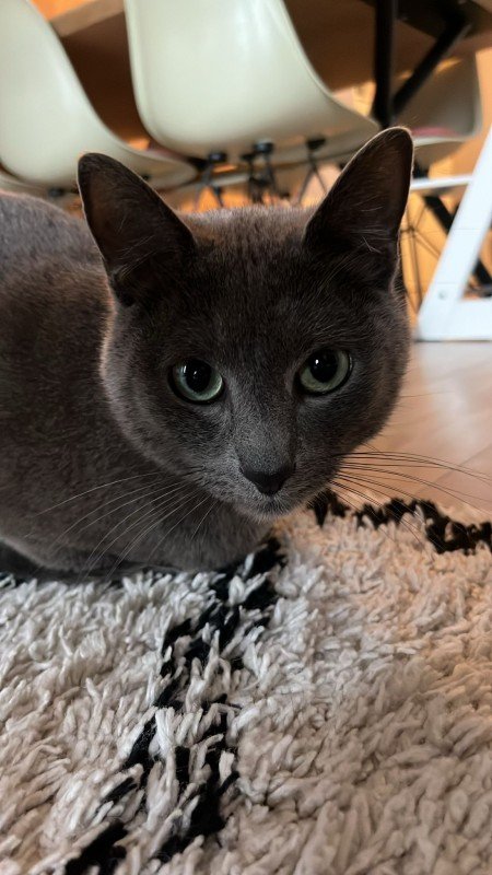 Billy