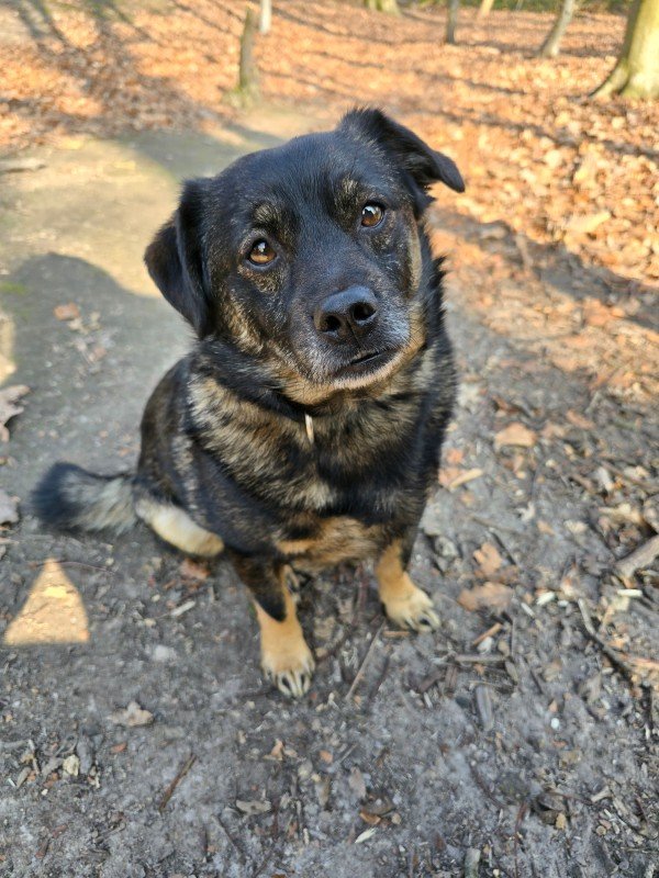 Tyson