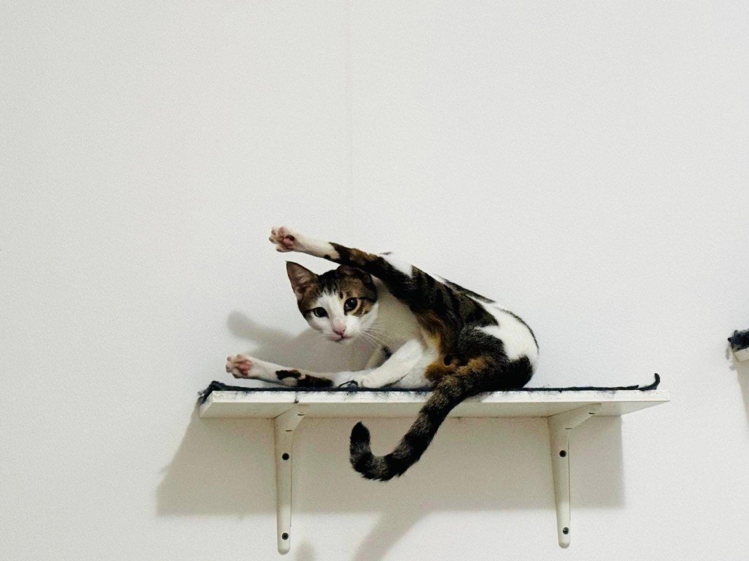 Smudge
