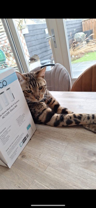 Leo