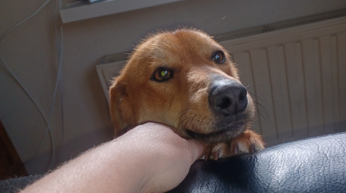 Rusty