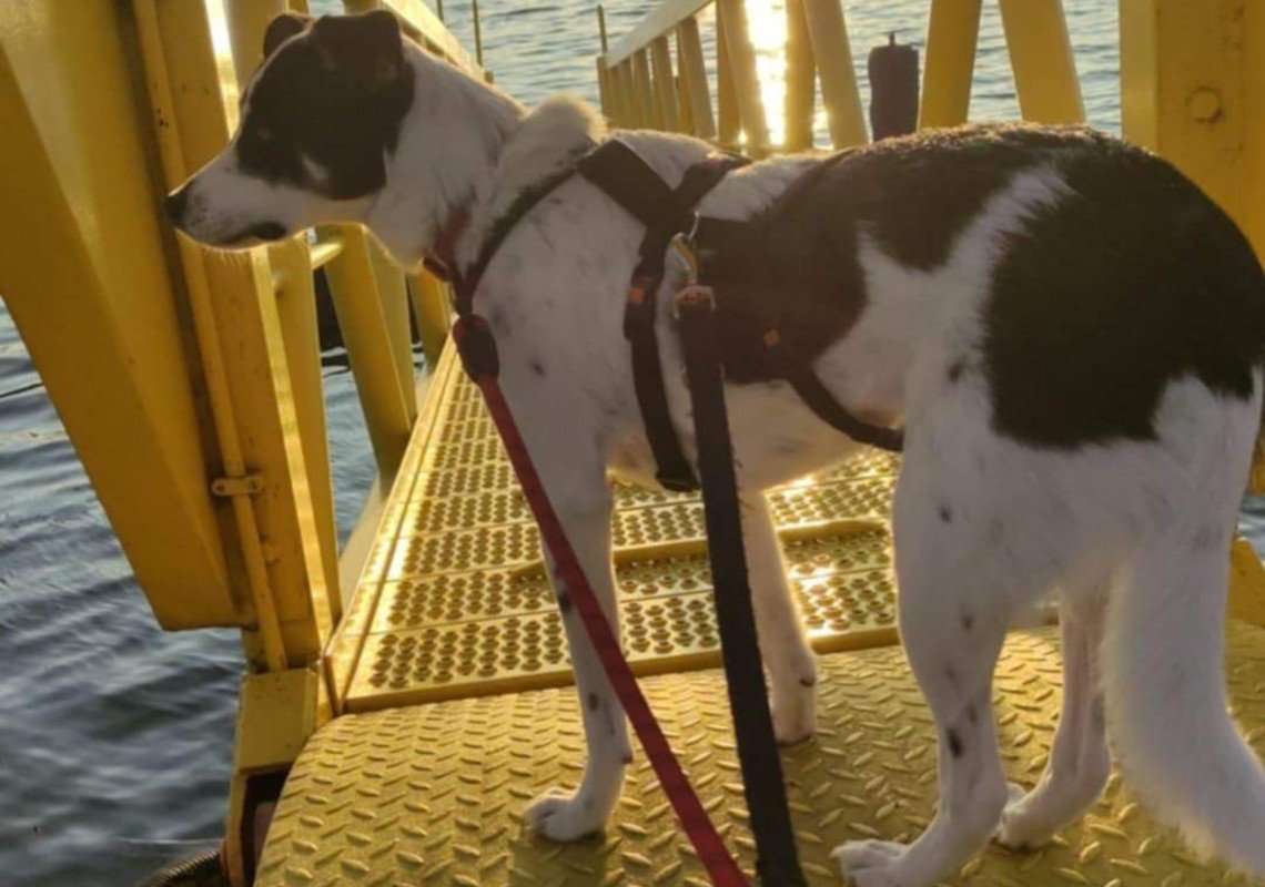 Floortje (Cora Florentina)