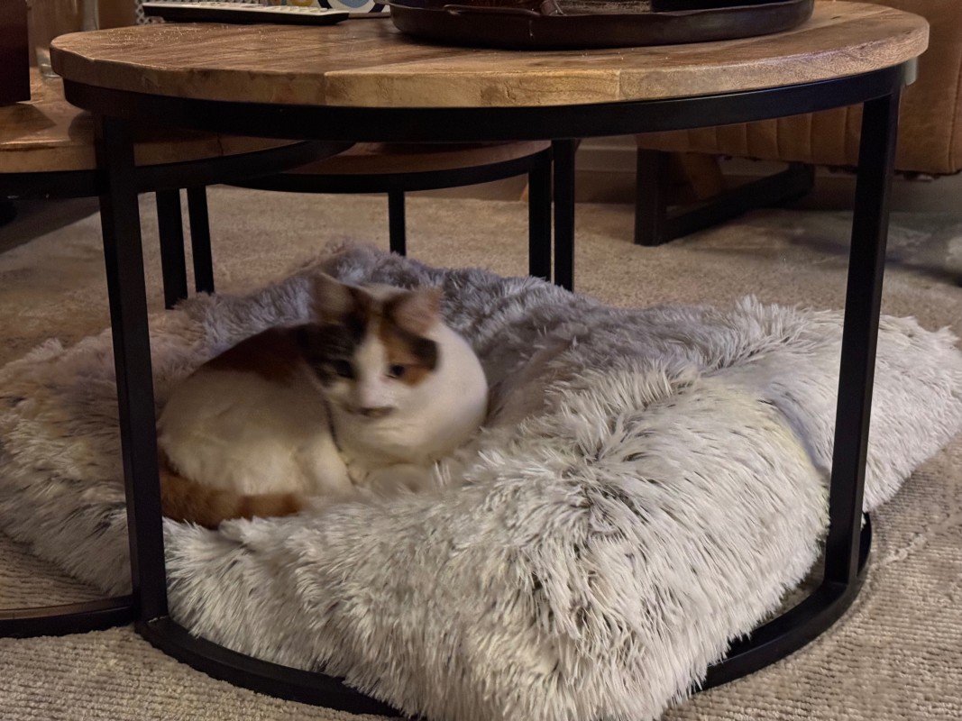 Luna