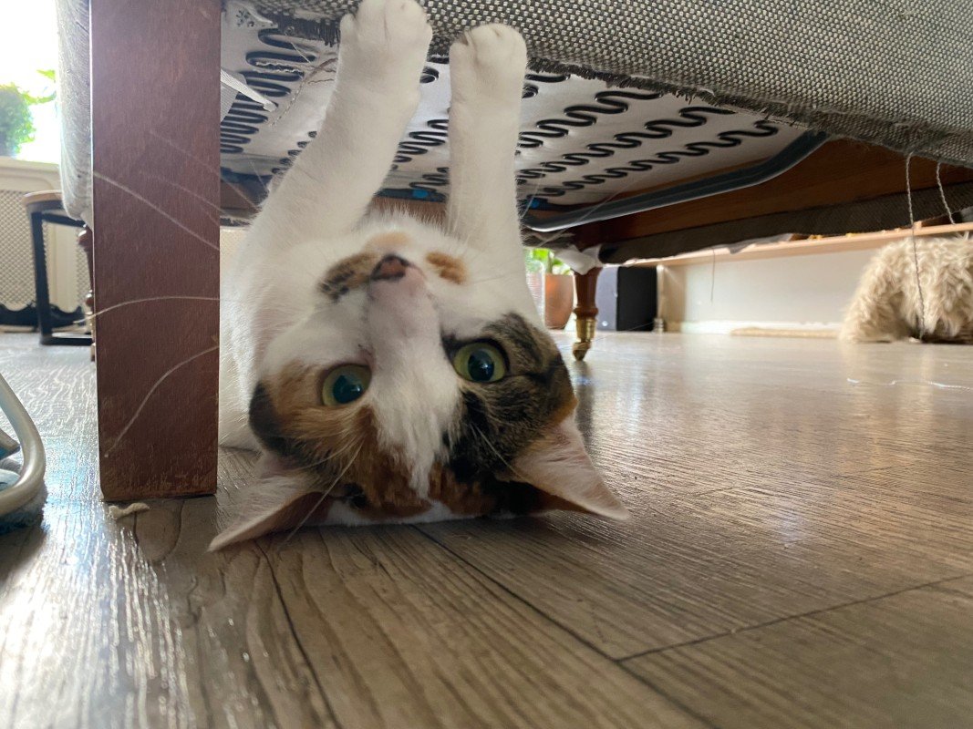 Luna