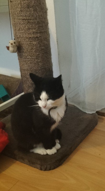 Tom