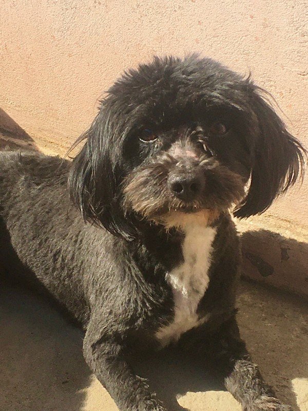 Oliver