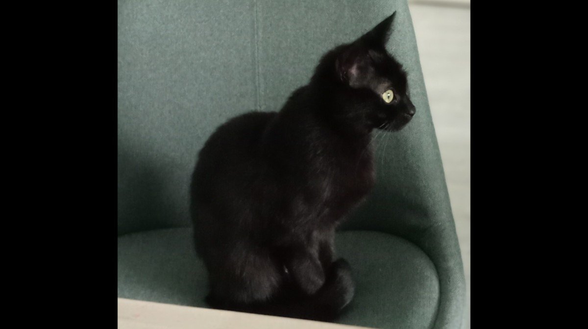 Dunya