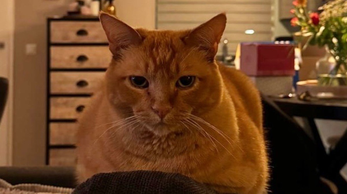 Sammy