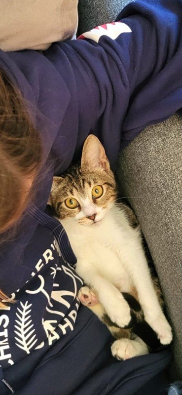 Mittens