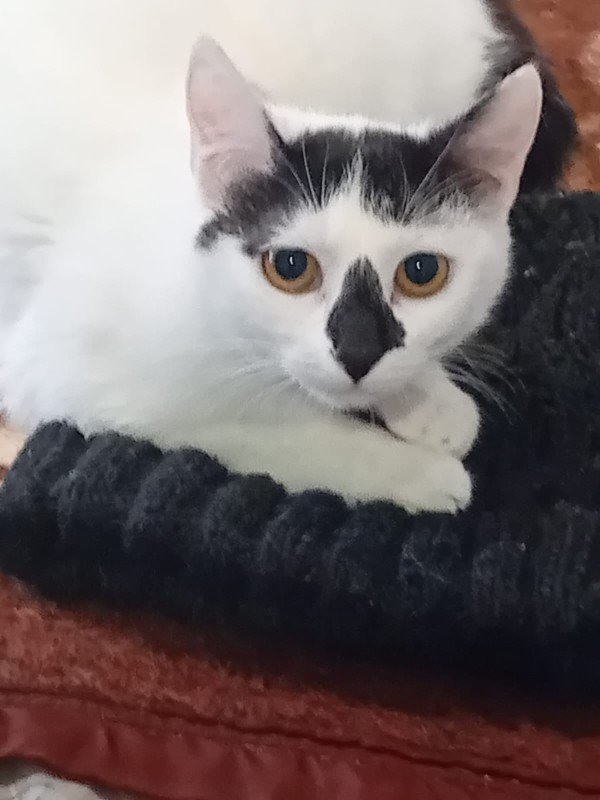 Marilyn
