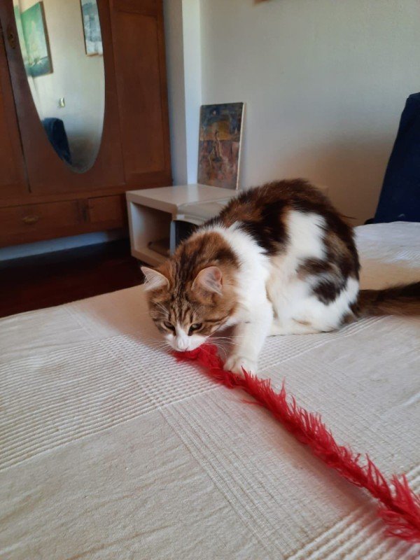 Leo
