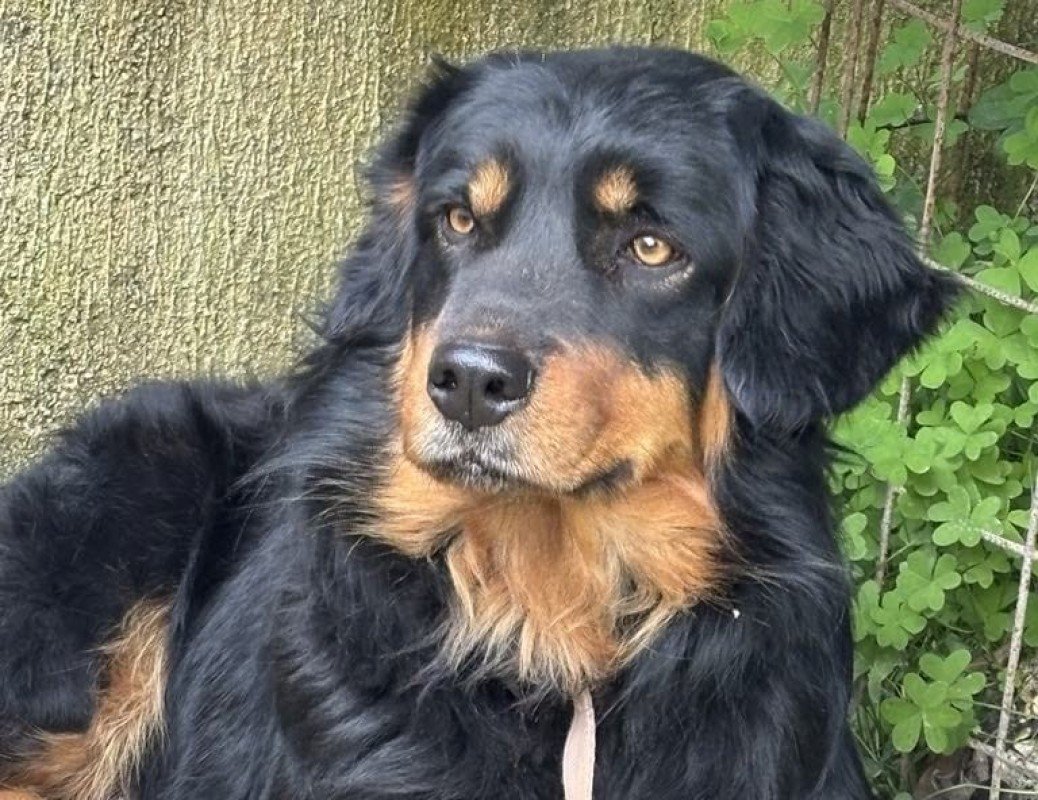 Bella