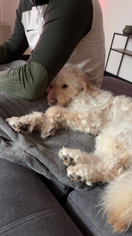 Ollie