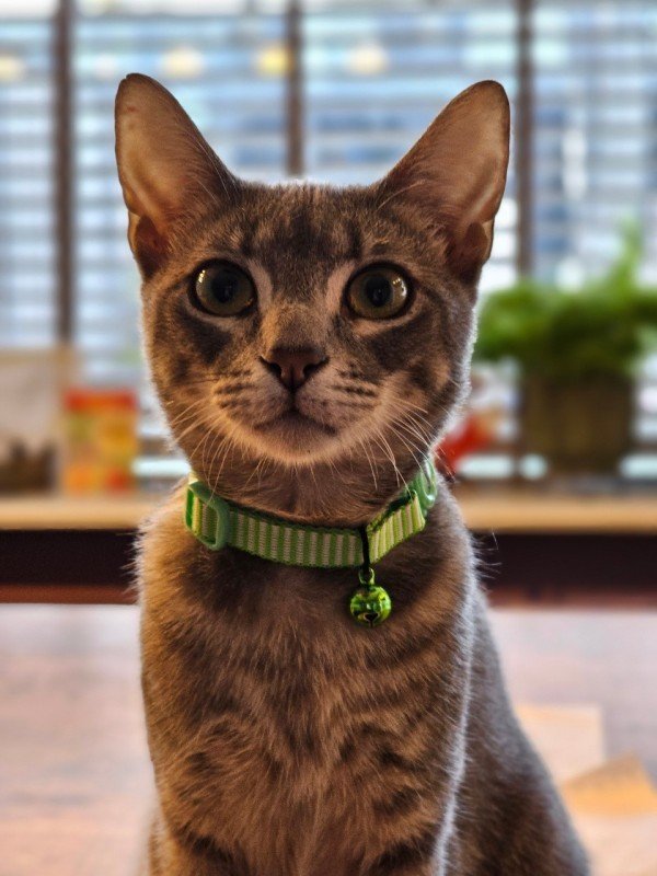 Binkie