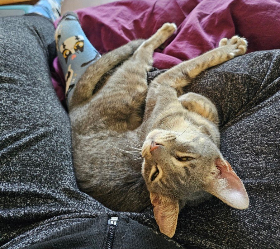 Binkie
