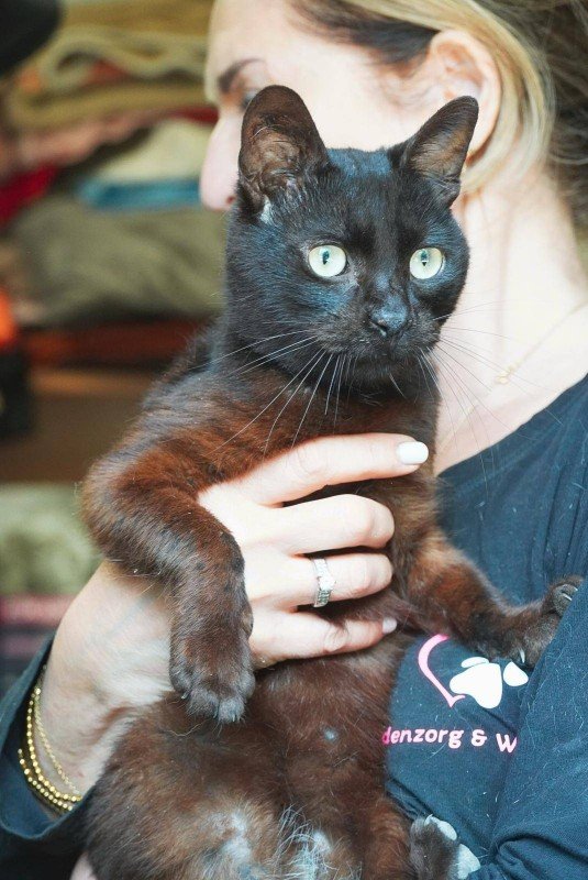 Oliver