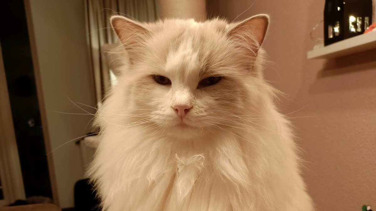 Hugo