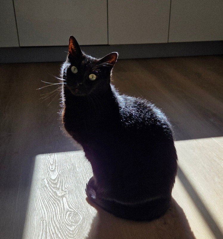 Nala