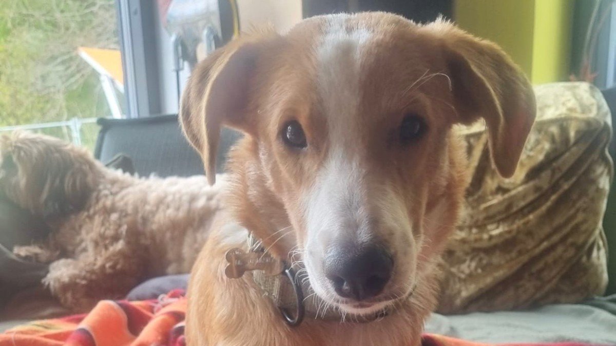 Charlie