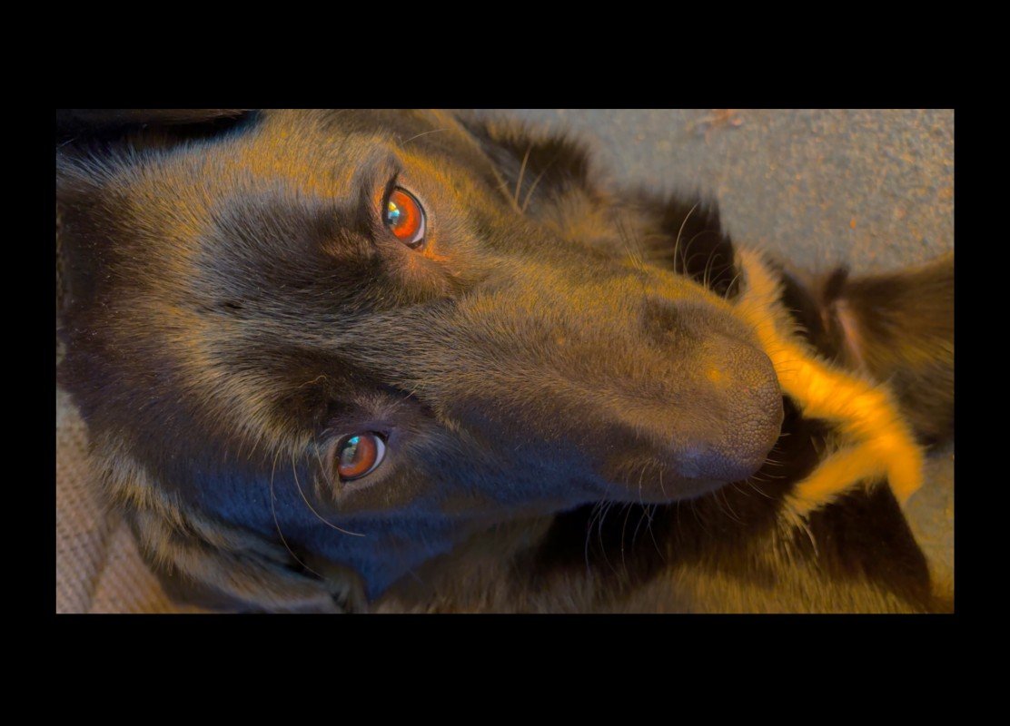 Dex