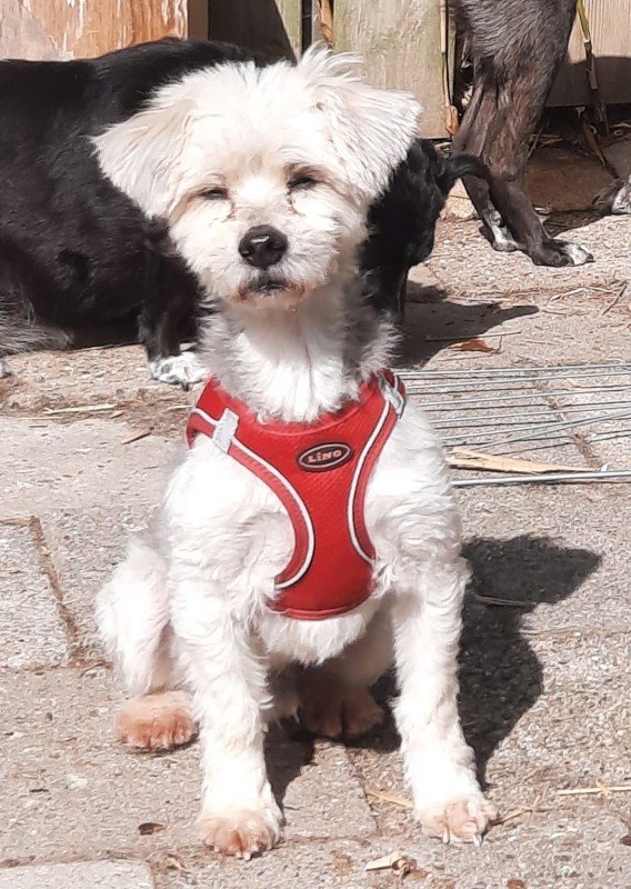 Muki