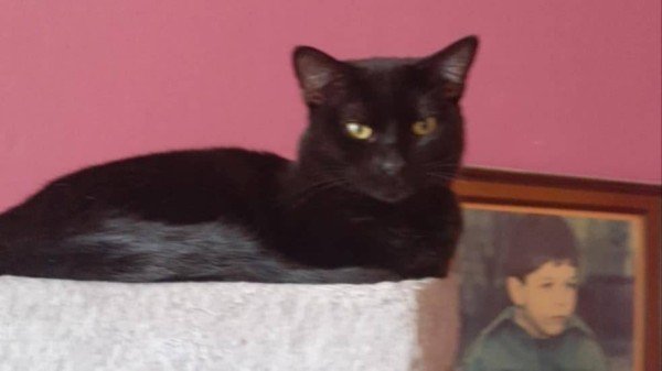 Blacky