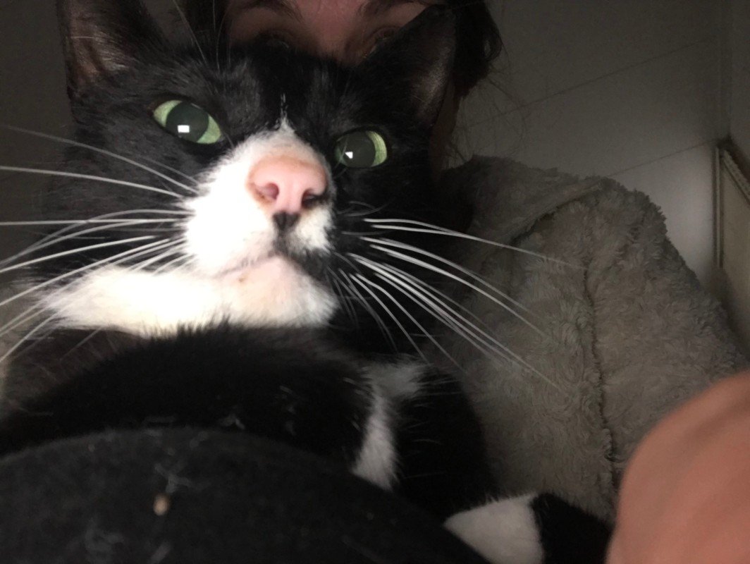 Pumba