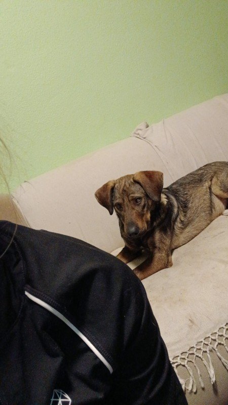Boris