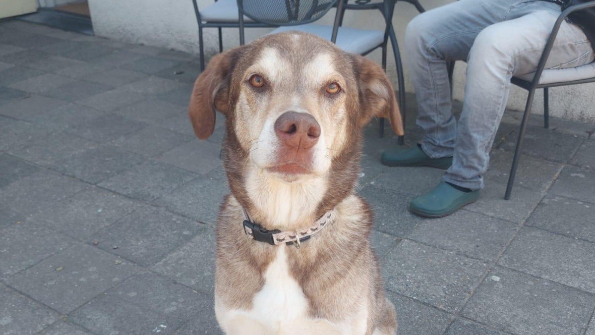 Jax