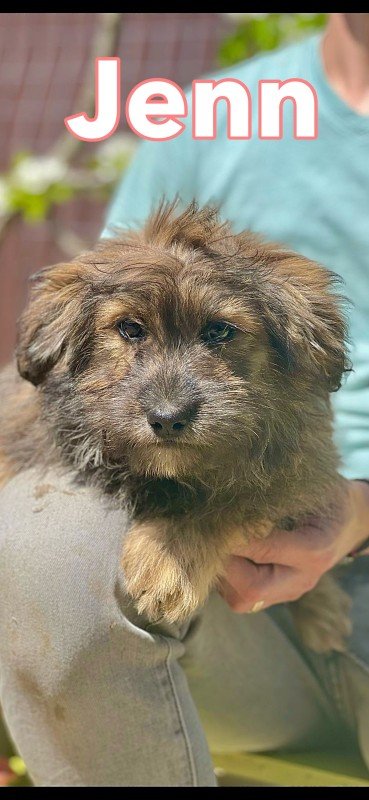 Jenn