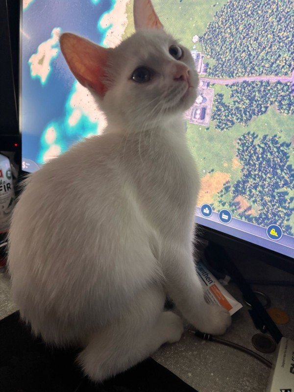 Sirius