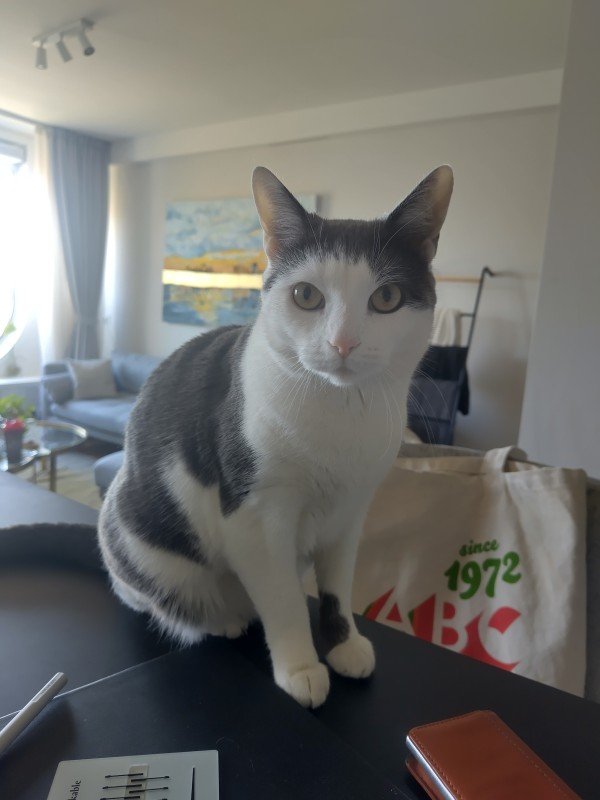 Vito