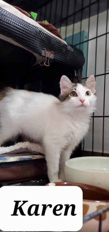 Karen