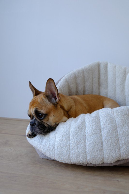 Lola