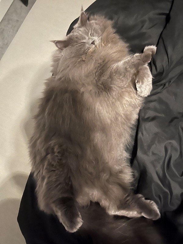 Milo
